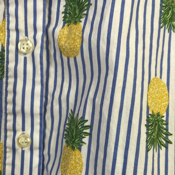 Chloe +Rene Pineapple Design Dress - Picture 5 of 9